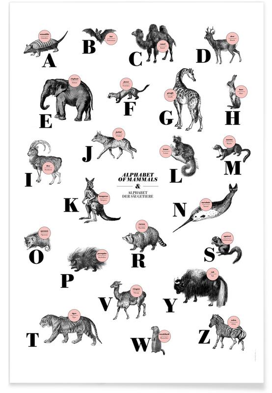 alphabet of mammals, animal ABC Poster | JUNIQE