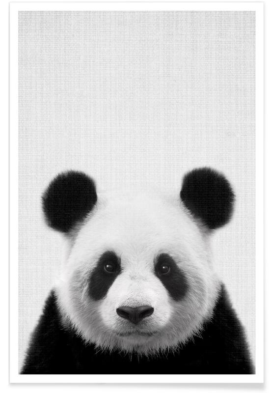 Panda Zwart Wit Foto Poster Juniqe 