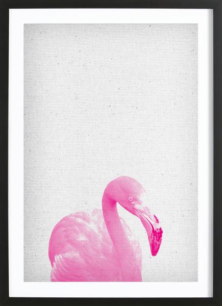 Flamingo Mortar Color Chart