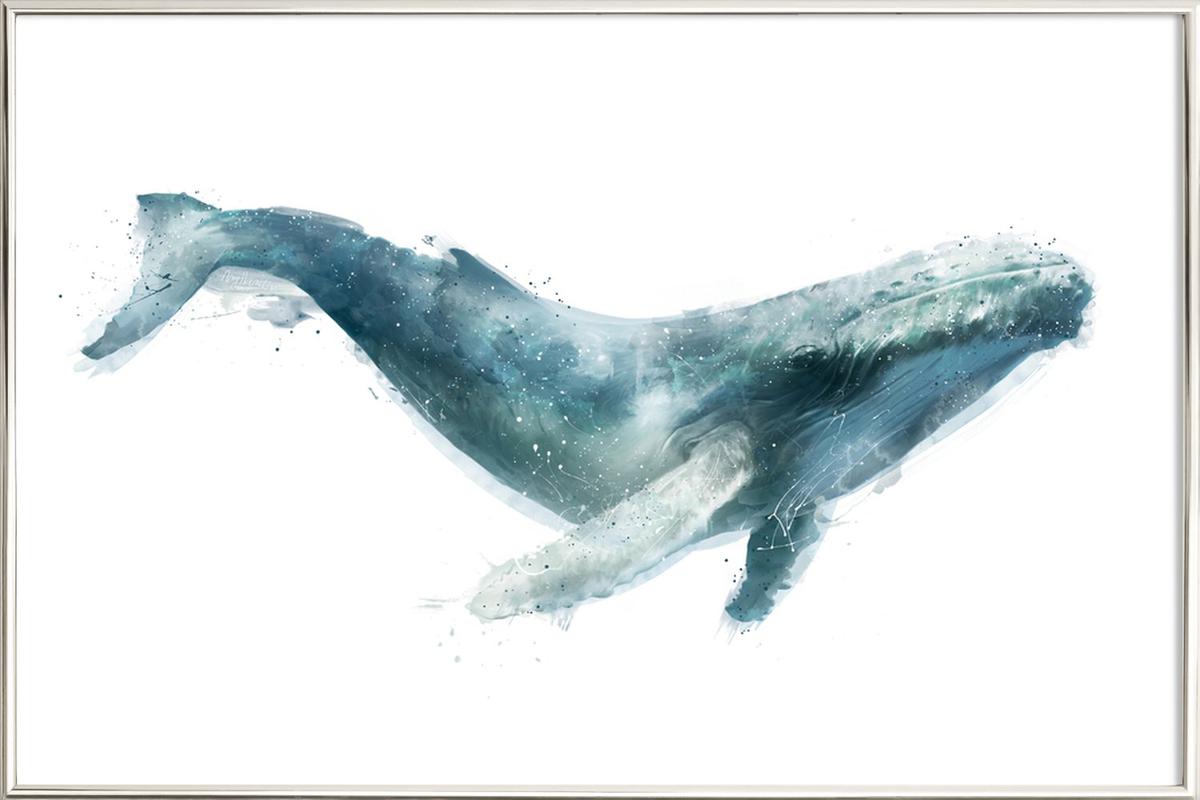 Постер кит