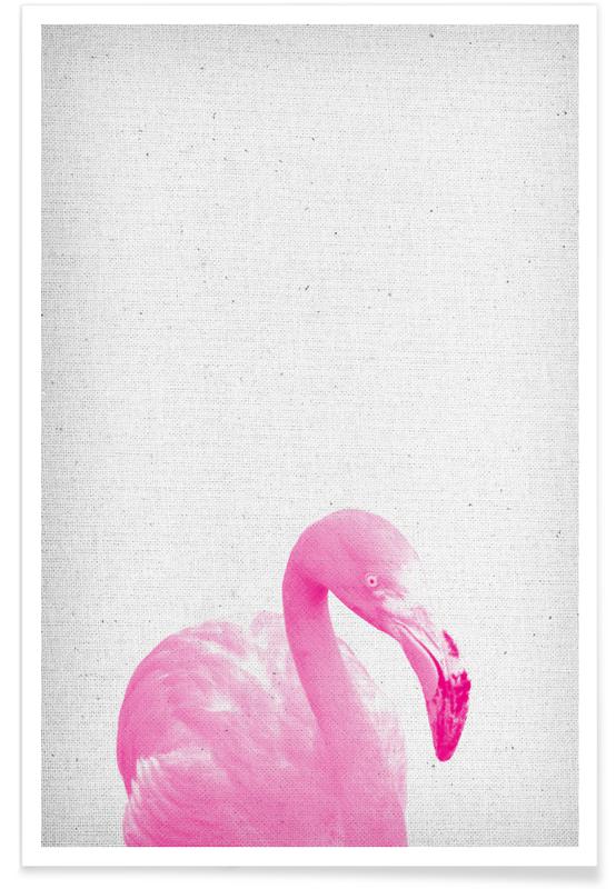 Flamingo Mortar Color Chart
